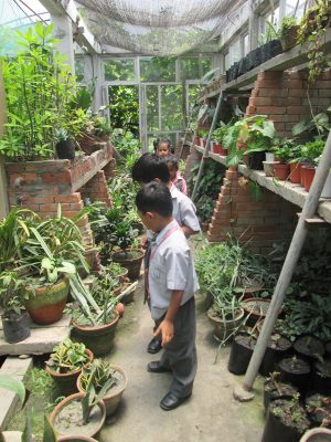 Field Trip to Standard Nursery: KG