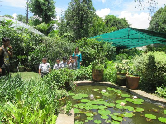 Field Trip to Standard Nursery: KG