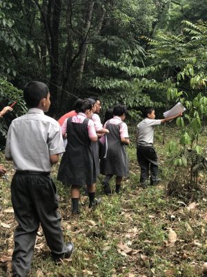 Ranibari Community Forest: Grade IV