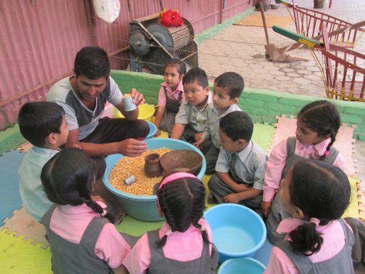 Field Trip to Tiger Lily Petting Farm: KG