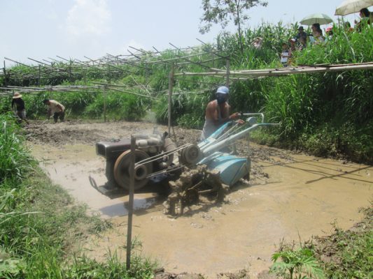 Trip to Rice Farm: Grade II