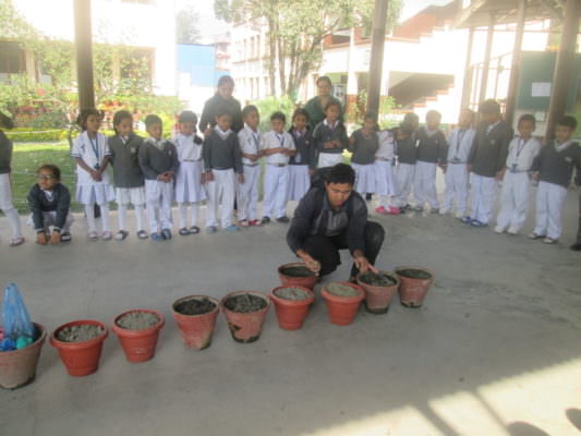 Interaction with the School Gardener: Grade I