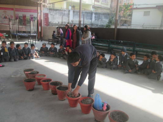 Interaction with the School Gardener: Grade I