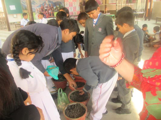 Interaction with the School Gardener: Grade I