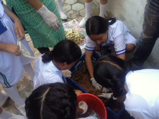 WCN Session on Vermicompost: Grades IV – V