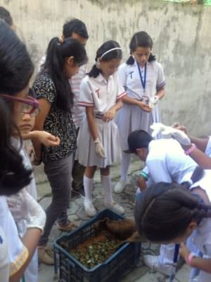 WCN Session on Vermicompost: Grades IV – V