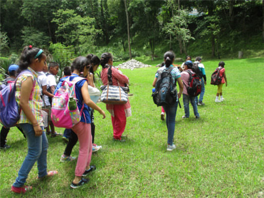 Field Trip to Godawari Botanical Garden: Grade V