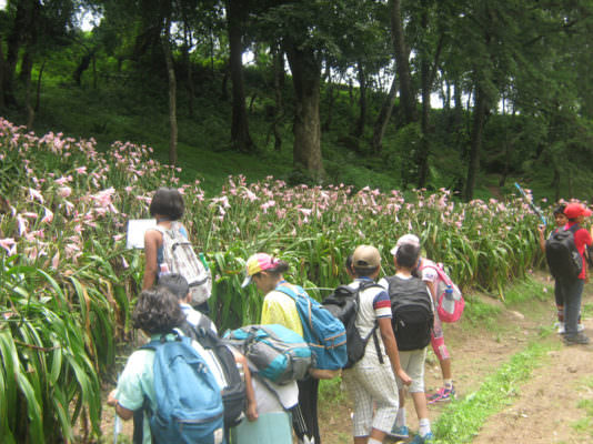 Field Trip to Godawari Botanical Garden: Grade V