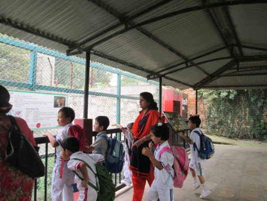 Field Trip to Central Zoo, Jawalakhel: Grade I