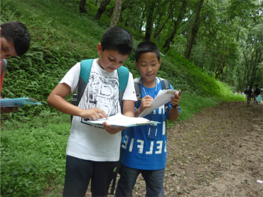 Field Trip to Godawari Botanical Garden: Grade V