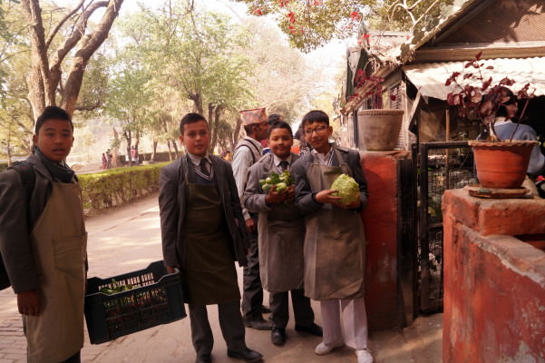 Animal Feeding Programme