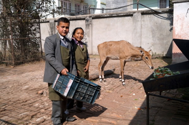 Animal Feeding Programme