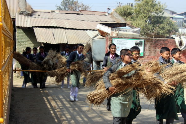 Animal Feeding Programme