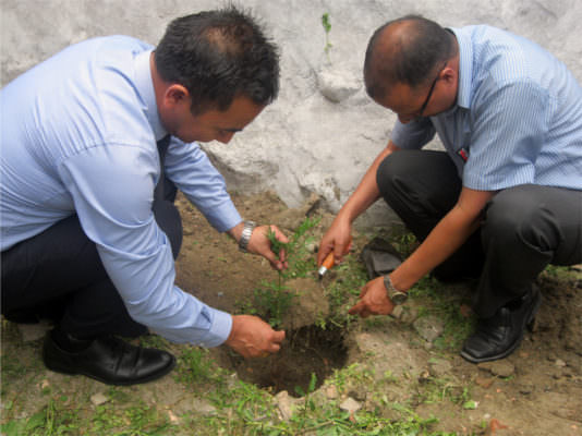 World Environment Day Tree Plantation Programme