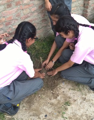 World Environment Day at School
